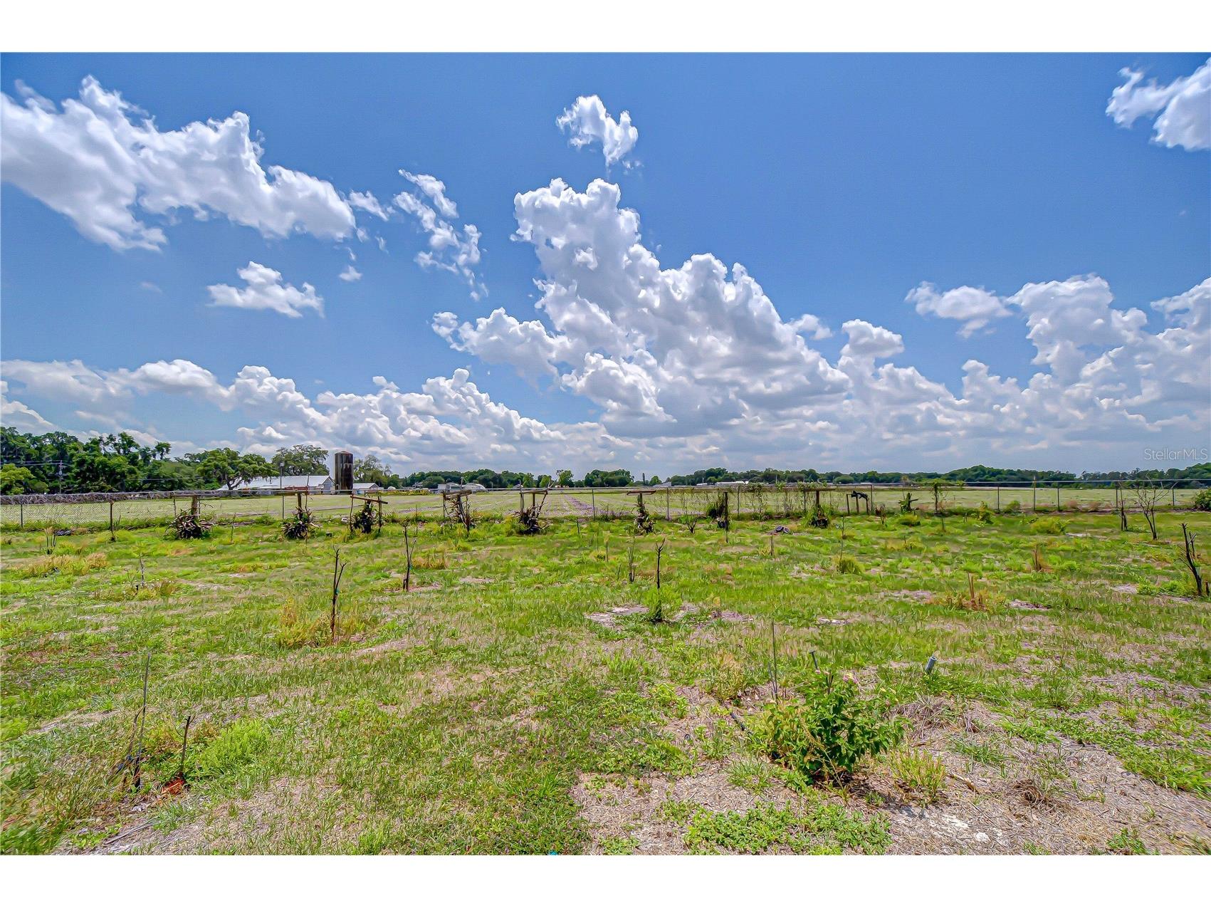 4036 Moores Lake Road Dover FL 33527 TB8504174 image5