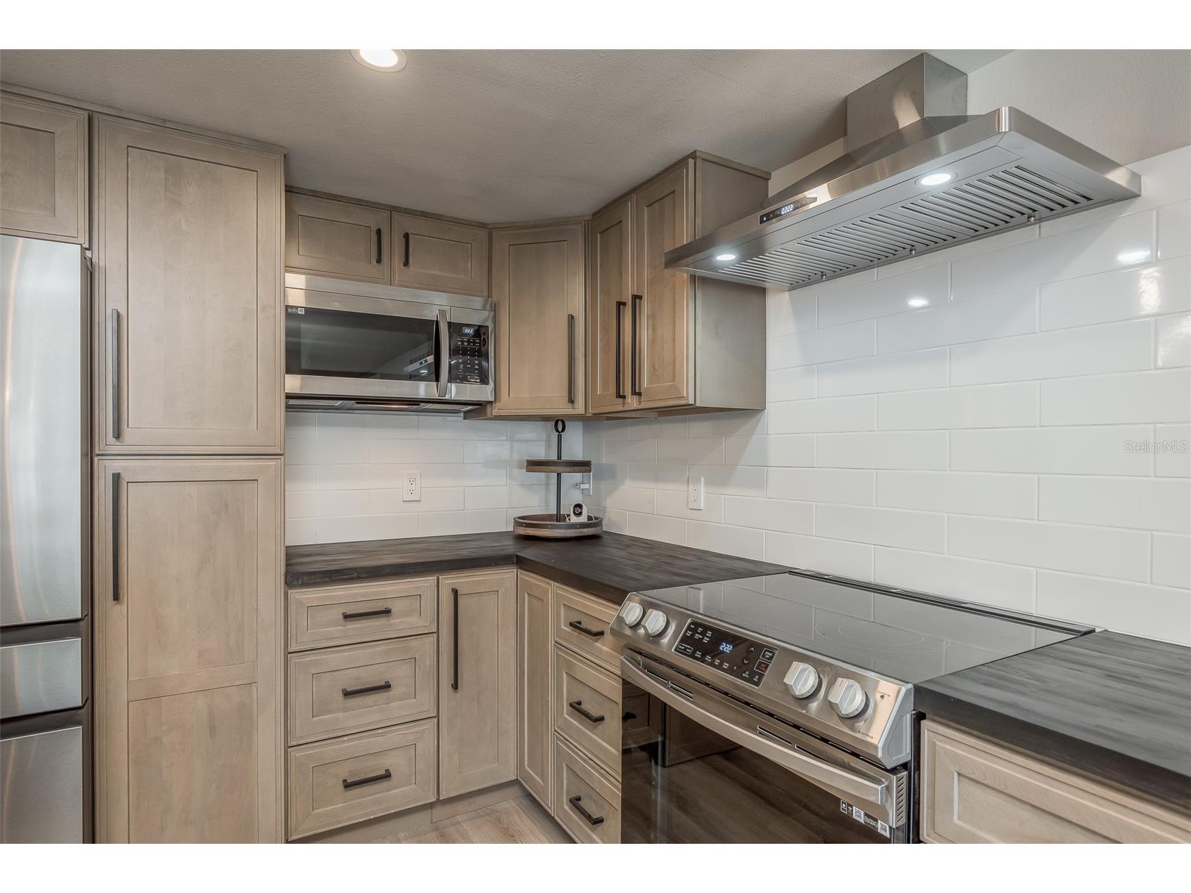 4036 Sunray Drive Holiday FL 34691 - LAKE CONLEY TB8482406 image12