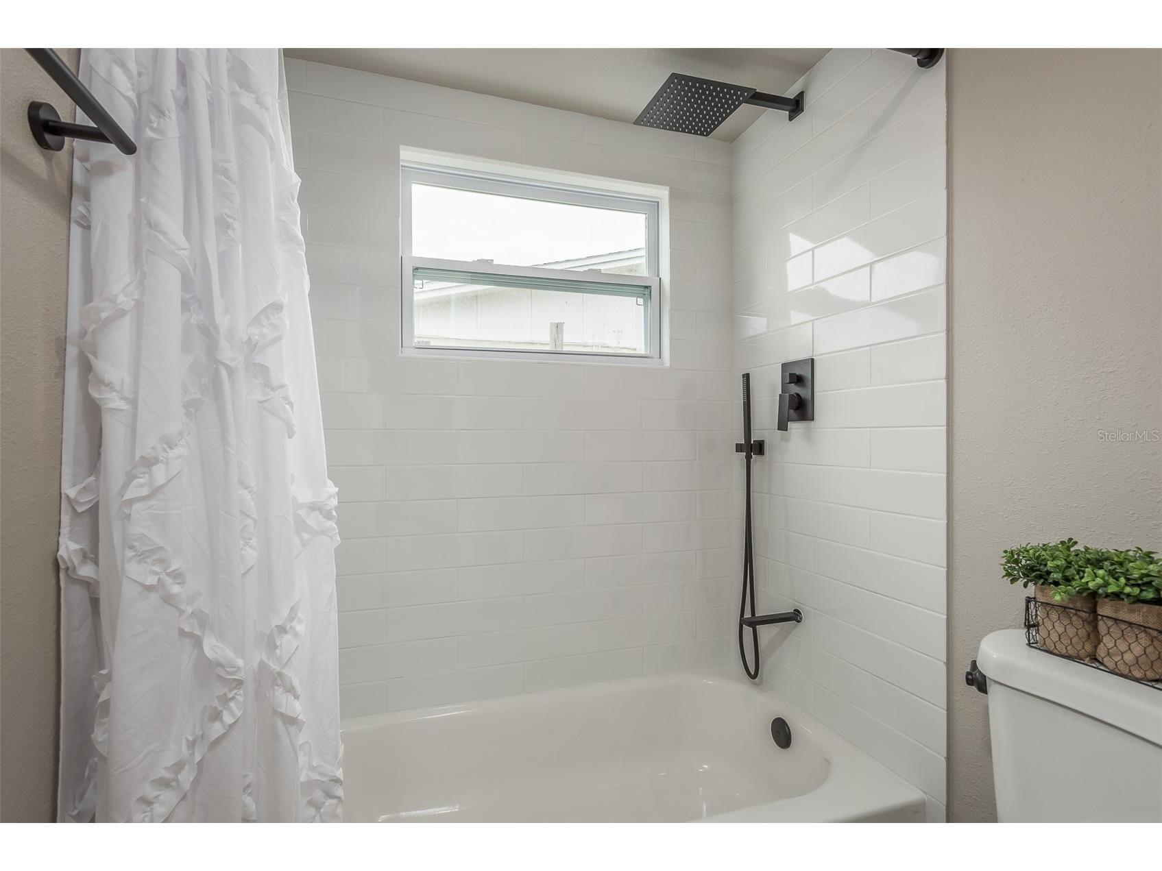 4036 Sunray Drive Holiday FL 34691 - LAKE CONLEY TB8482406 image20