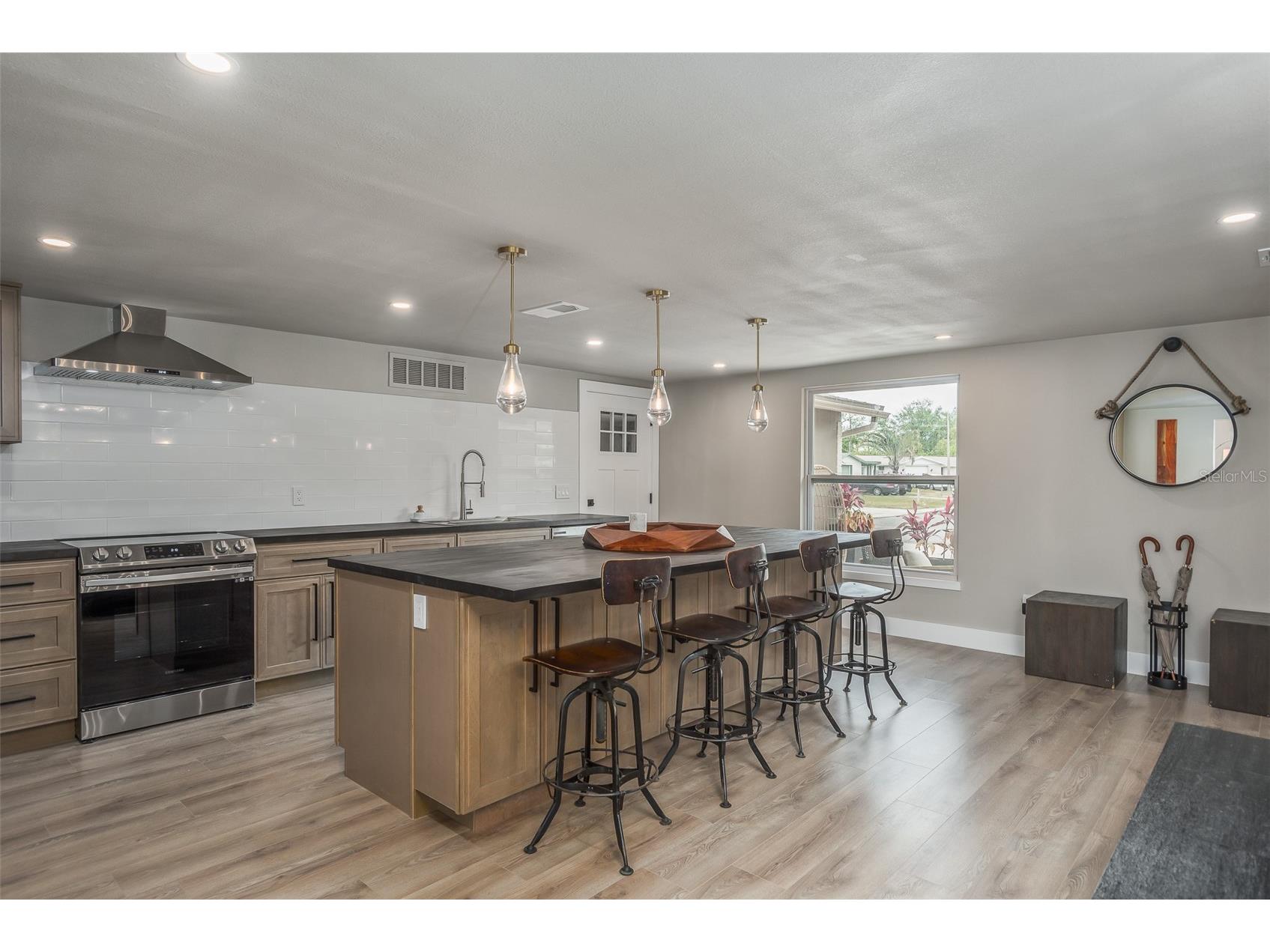 4036 Sunray Drive Holiday FL 34691 - LAKE CONLEY TB8482406 image8