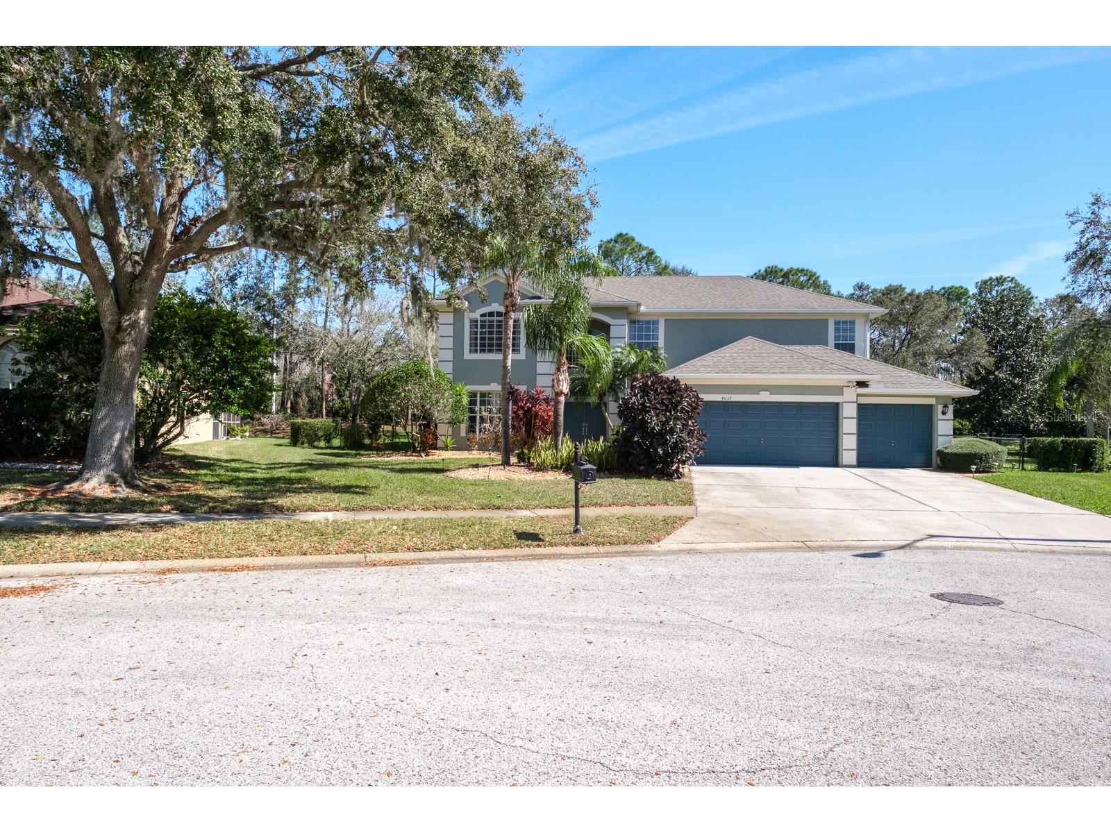 4037 Auston Way Palm Harbor FL 34685 TB8506309 image1