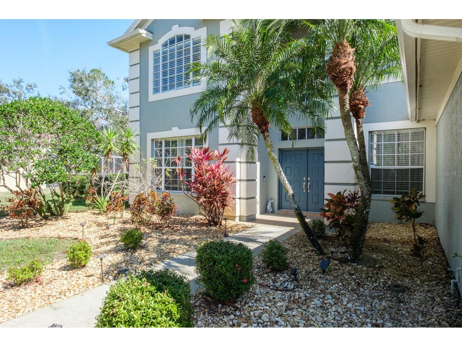 4037 Auston Way Palm Harbor FL 34685 TB8506309 image5