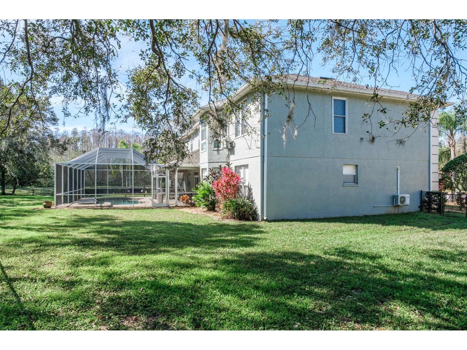 4037 Auston Way Palm Harbor FL 34685 TB8506309 image77