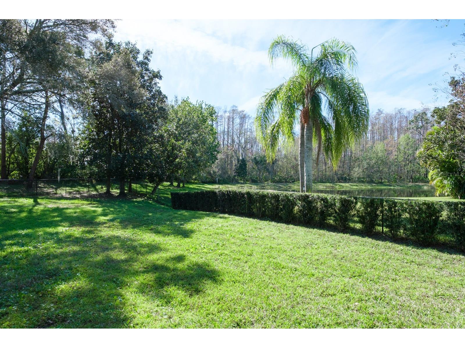 4037 Auston Way Palm Harbor FL 34685 TB8506309 image87