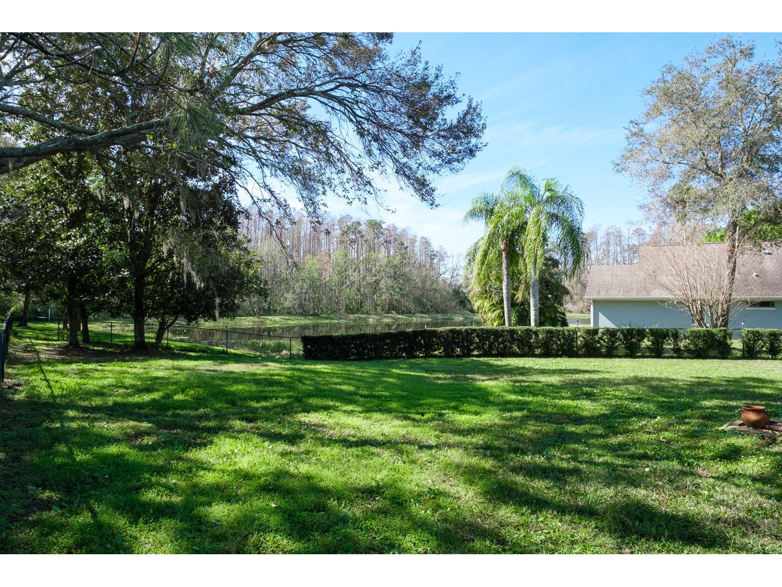 4037 Auston Way Palm Harbor FL 34685 TB8506309 image88