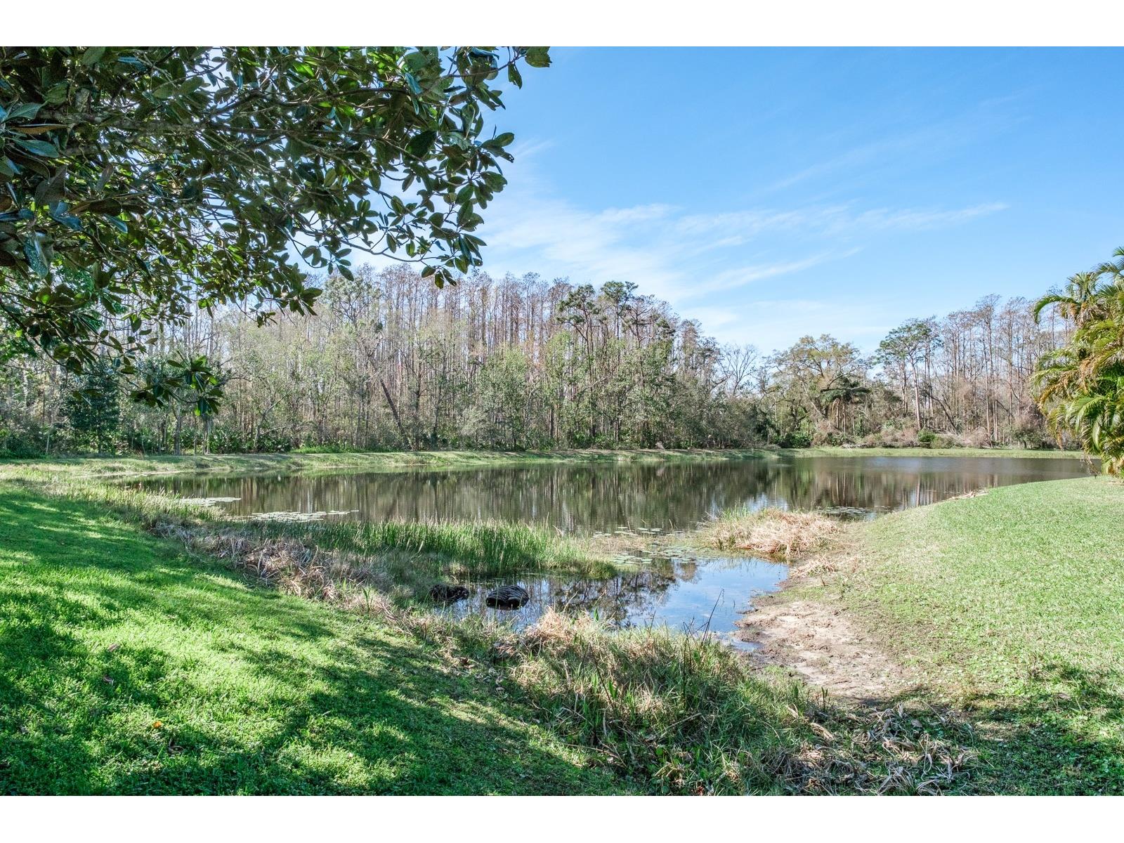 4037 Auston Way Palm Harbor FL 34685 TB8506309 image89