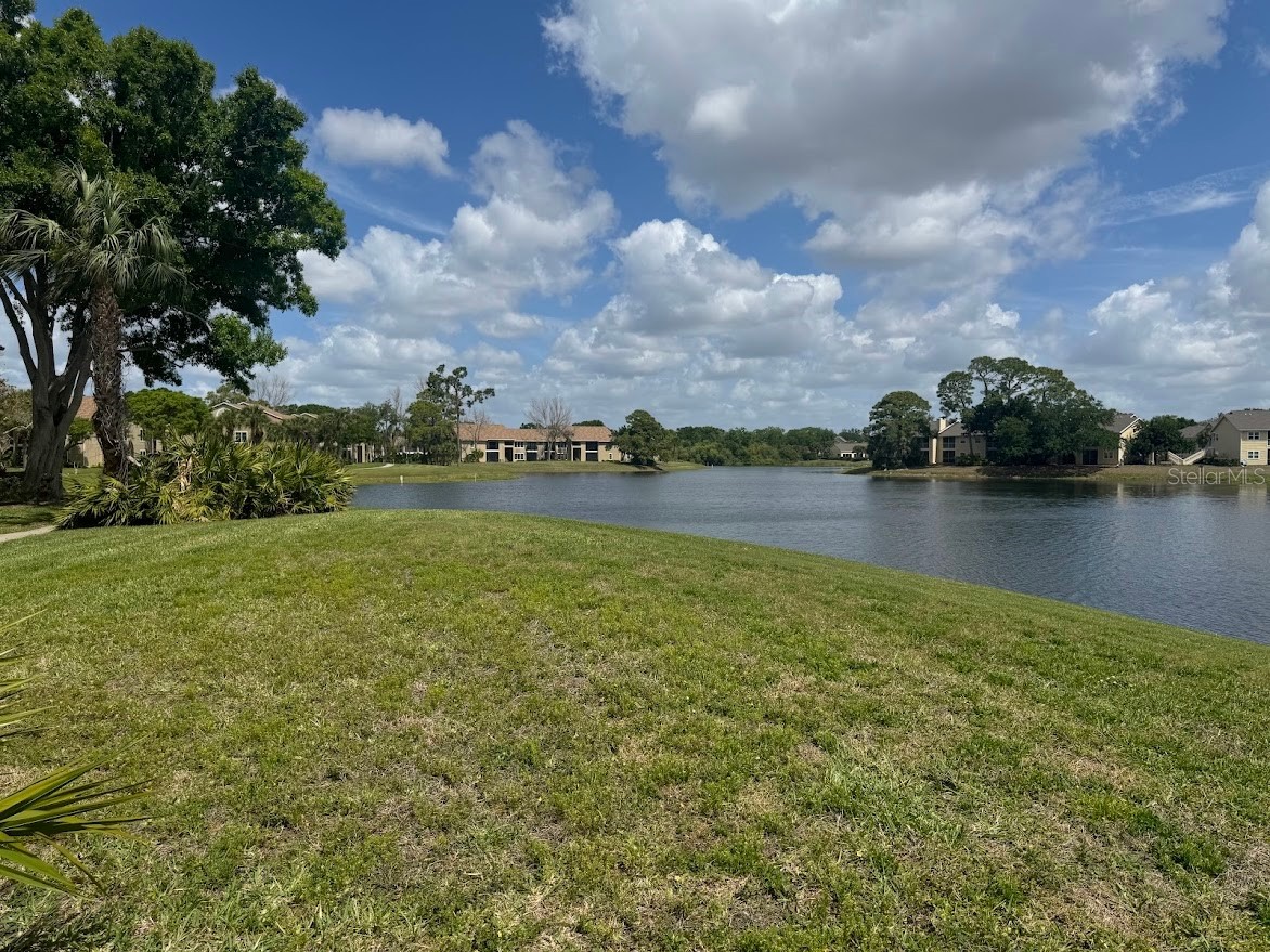 4037 Crockers Lake Boulevard #25 Sarasota FL 34238 C7524221 image13