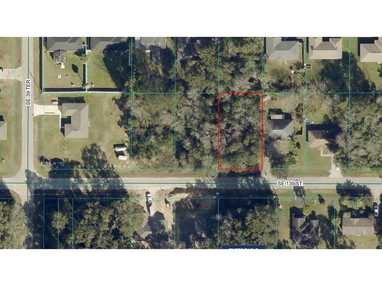 4037 SE 139th Street Summerfield FL 34491 OM722236 image1