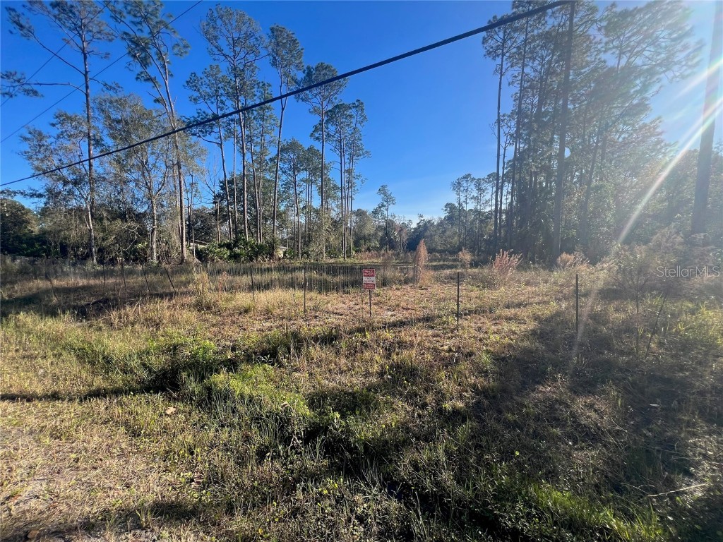 4038 Clove Avenue Bunnell FL 32110 FC296683 image1