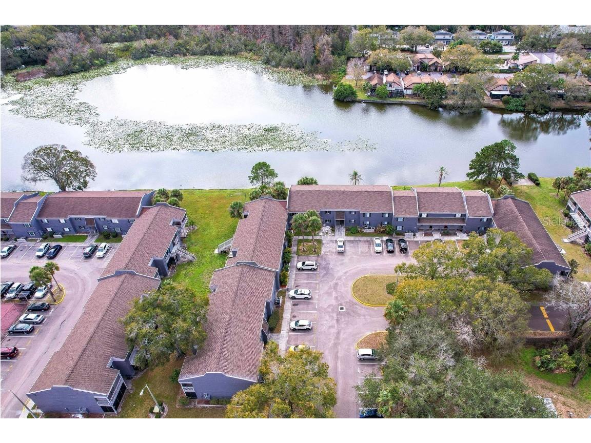 4038 Cortez Drive #A Tampa FL 33614 T3424681 image1