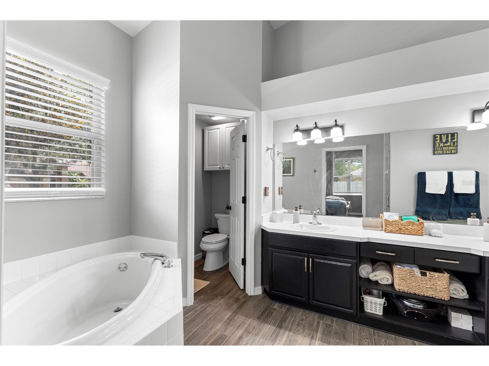 4038 Lithia Ridge Boulevard Valrico FL 33596 TB8521292 image17