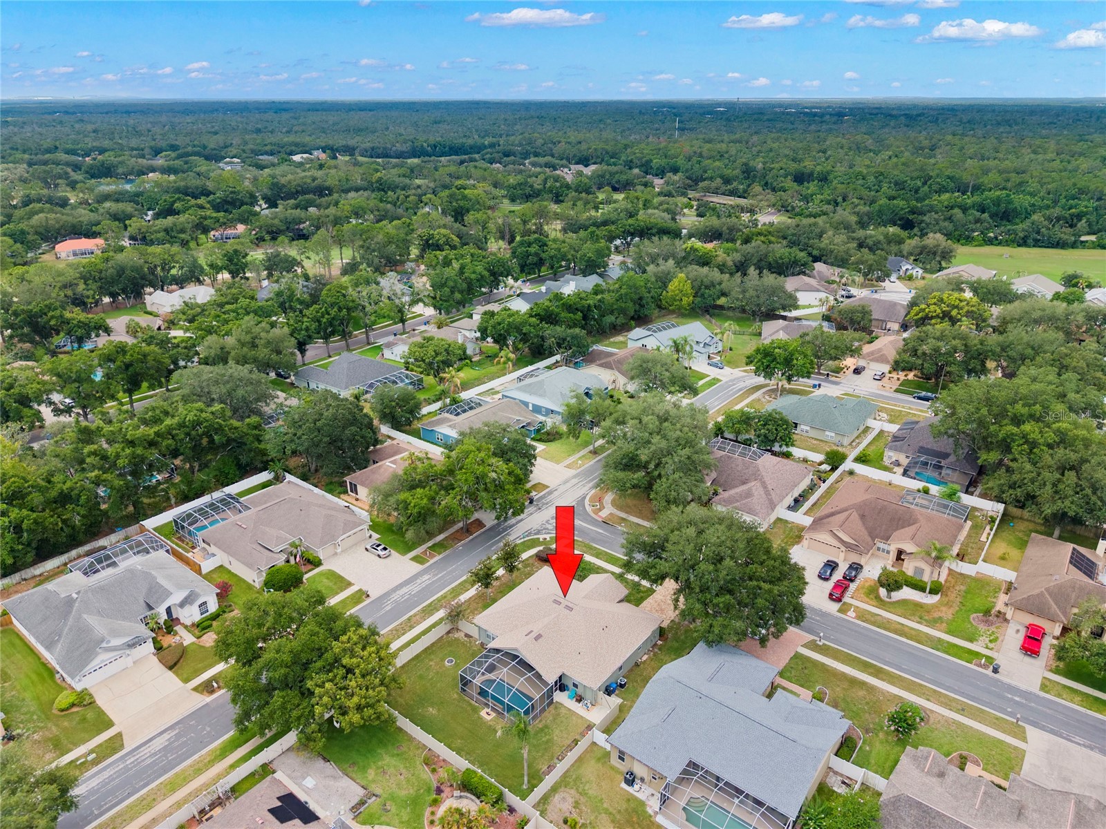4038 Lithia Ridge Boulevard Valrico FL 33596 TB8521292 image39
