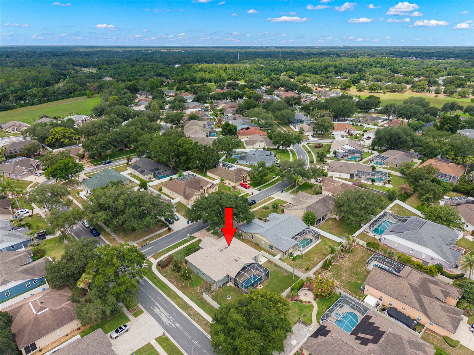 4038 Lithia Ridge Boulevard Valrico FL 33596 TB8521292 image40