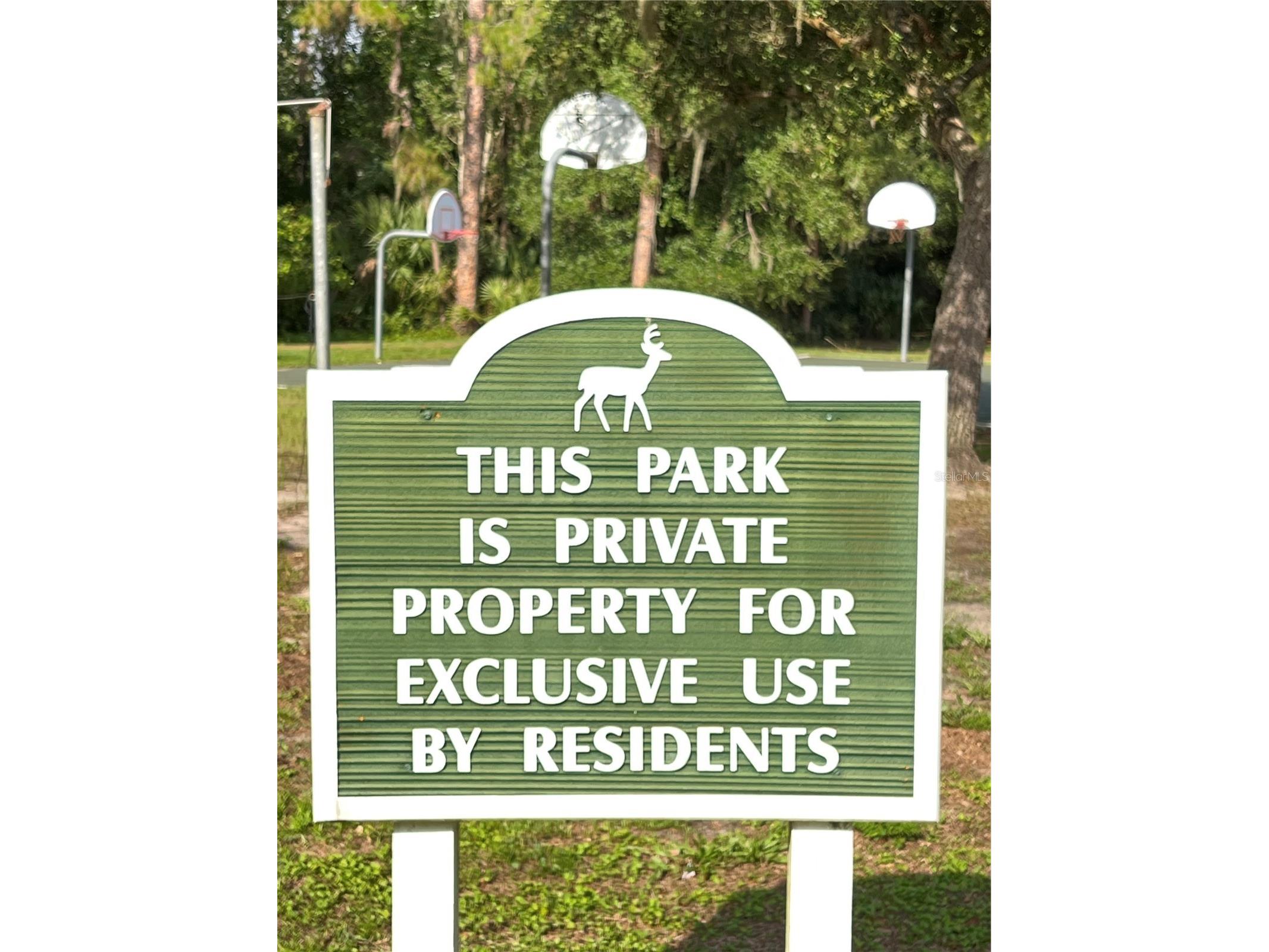 4038 Lithia Ridge Boulevard Valrico FL 33596 TB8521292 image42