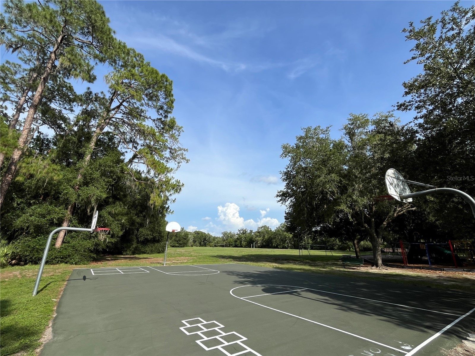 4038 Lithia Ridge Boulevard Valrico FL 33596 TB8521292 image45