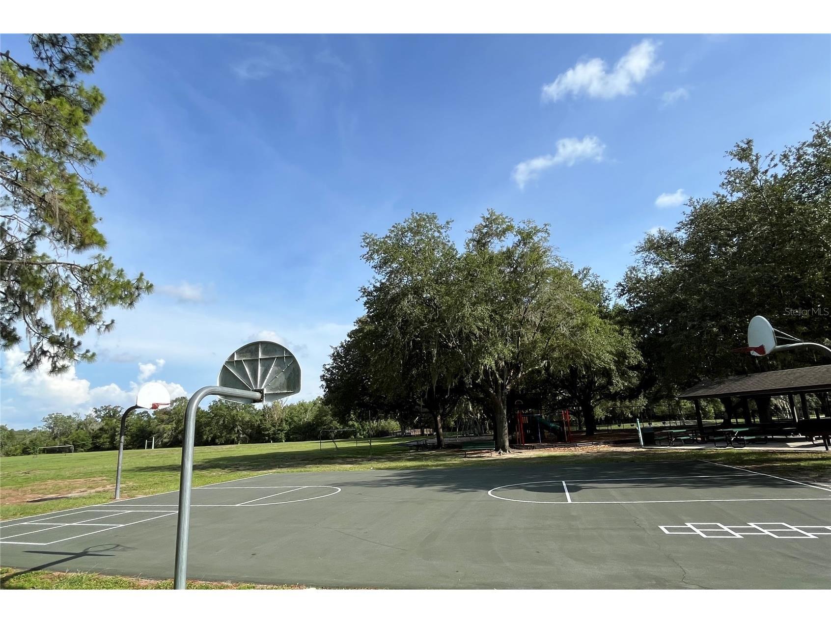 4038 Lithia Ridge Boulevard Valrico FL 33596 TB8521292 image46