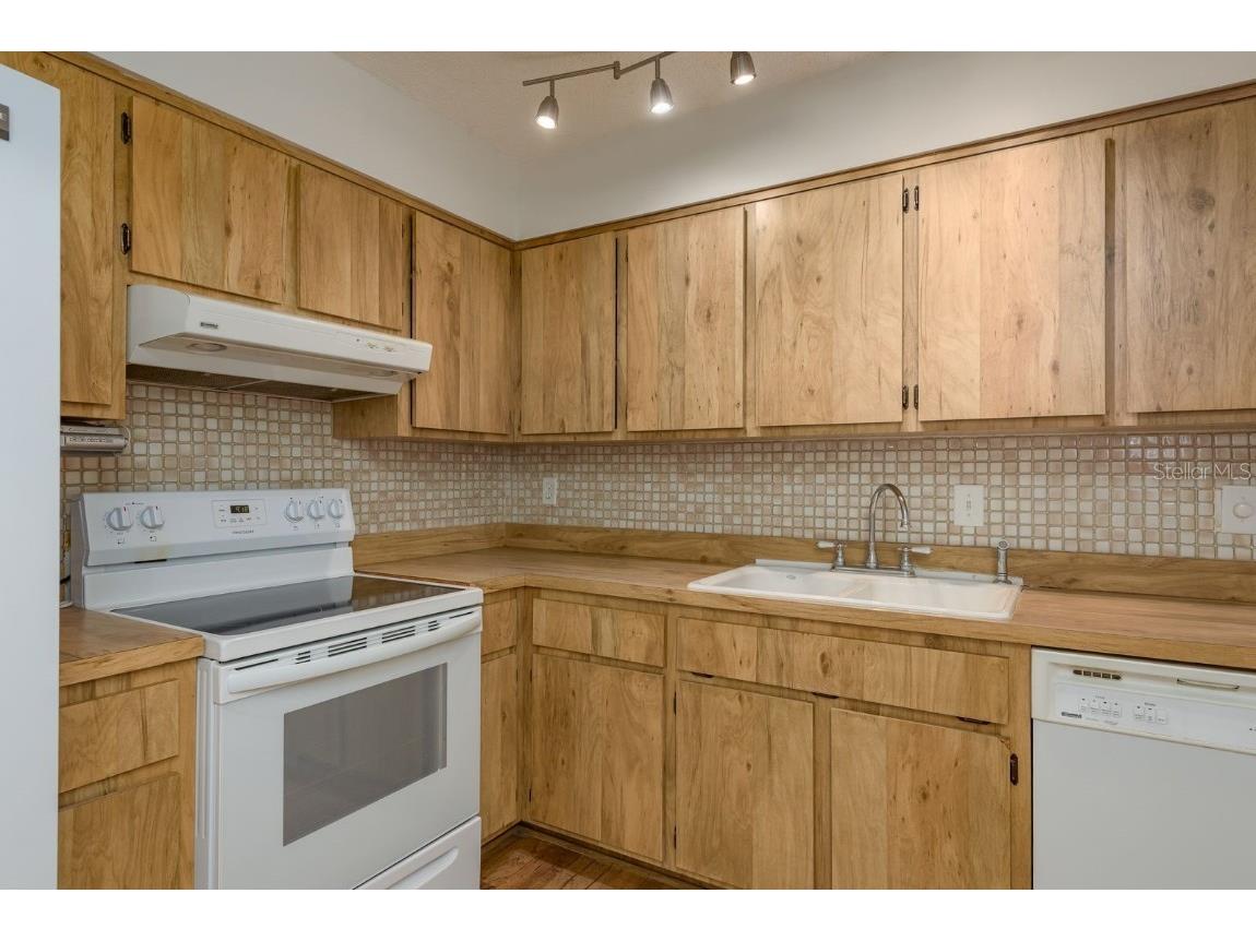 4039 La Pasida Lane New Port Richey FL 34655 TB8390454 image14