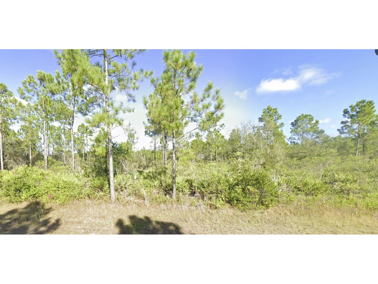 404 Allamanda Drive Indian Lake Estates FL 33855 - LAKE WALK-IN-WATER TB8368508 image4