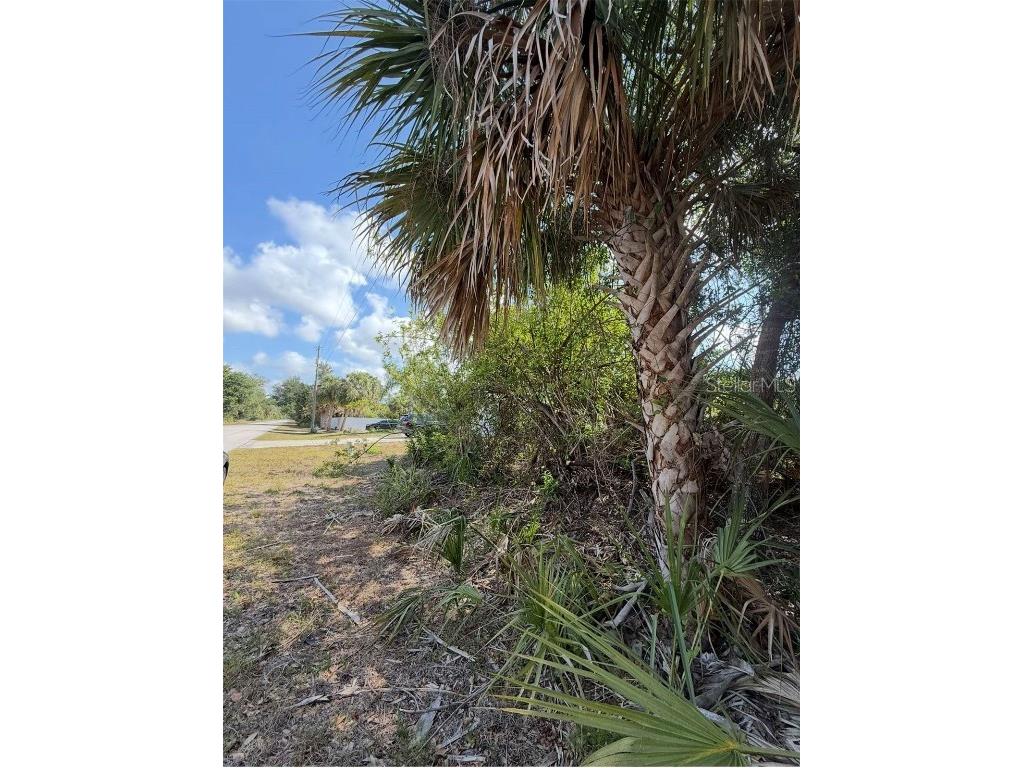 404 Barger Drive Port Charlotte FL 33954 A4655926 image3