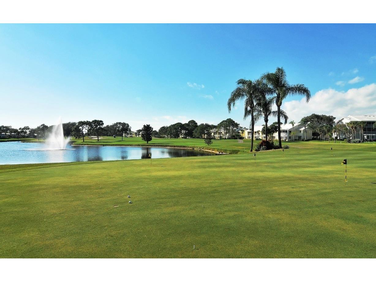 404 Cerromar Circle N #115 Venice FL 34293 D6145007 image52