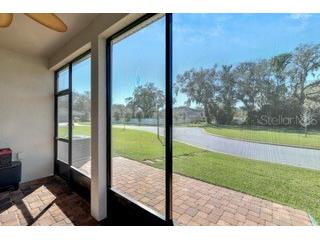 404 Darcy Bluff Place Valrico FL 33594 TB8470433 image61