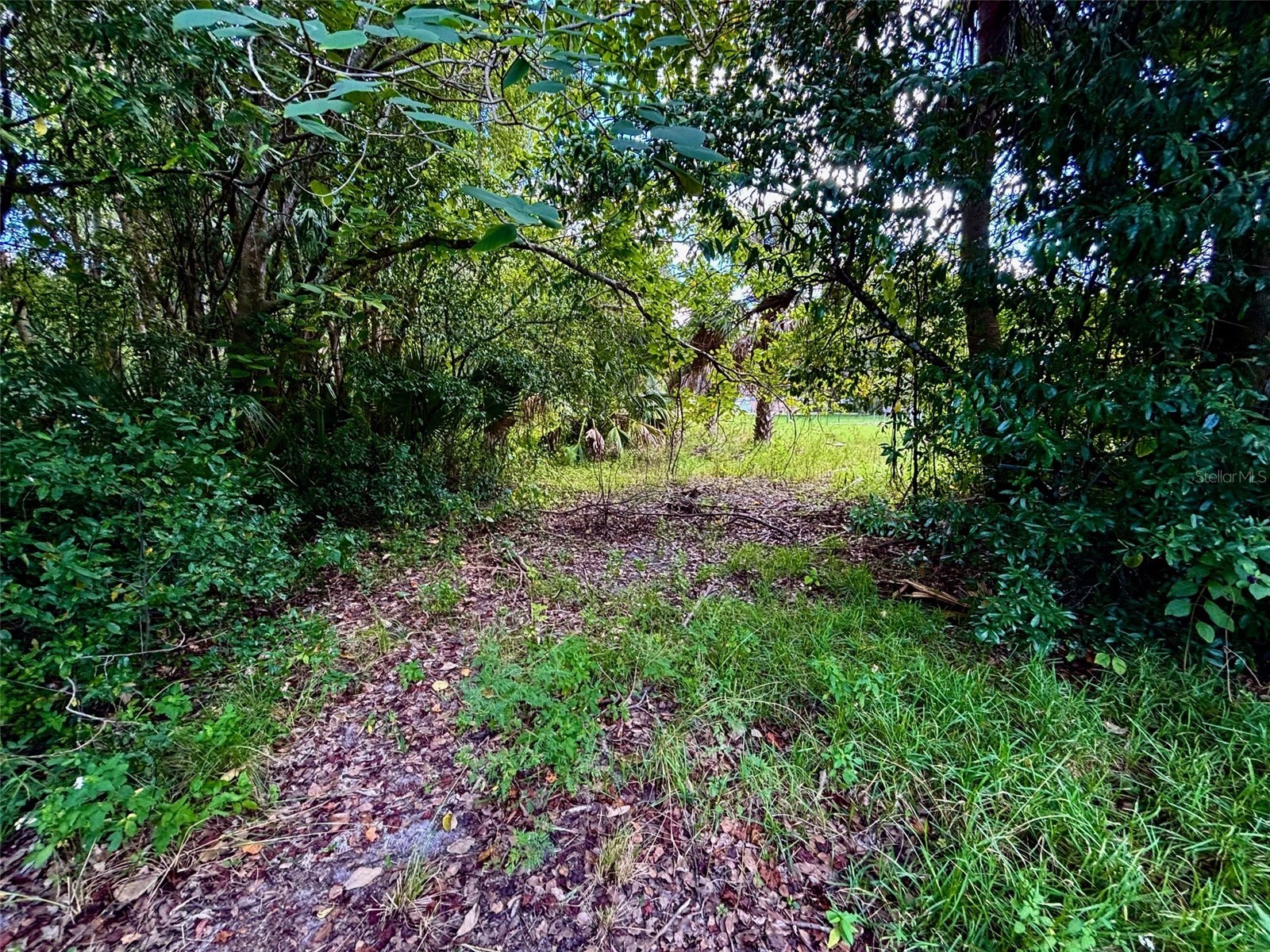 404 Grove Street Melrose FL 32666 P4936491 image1