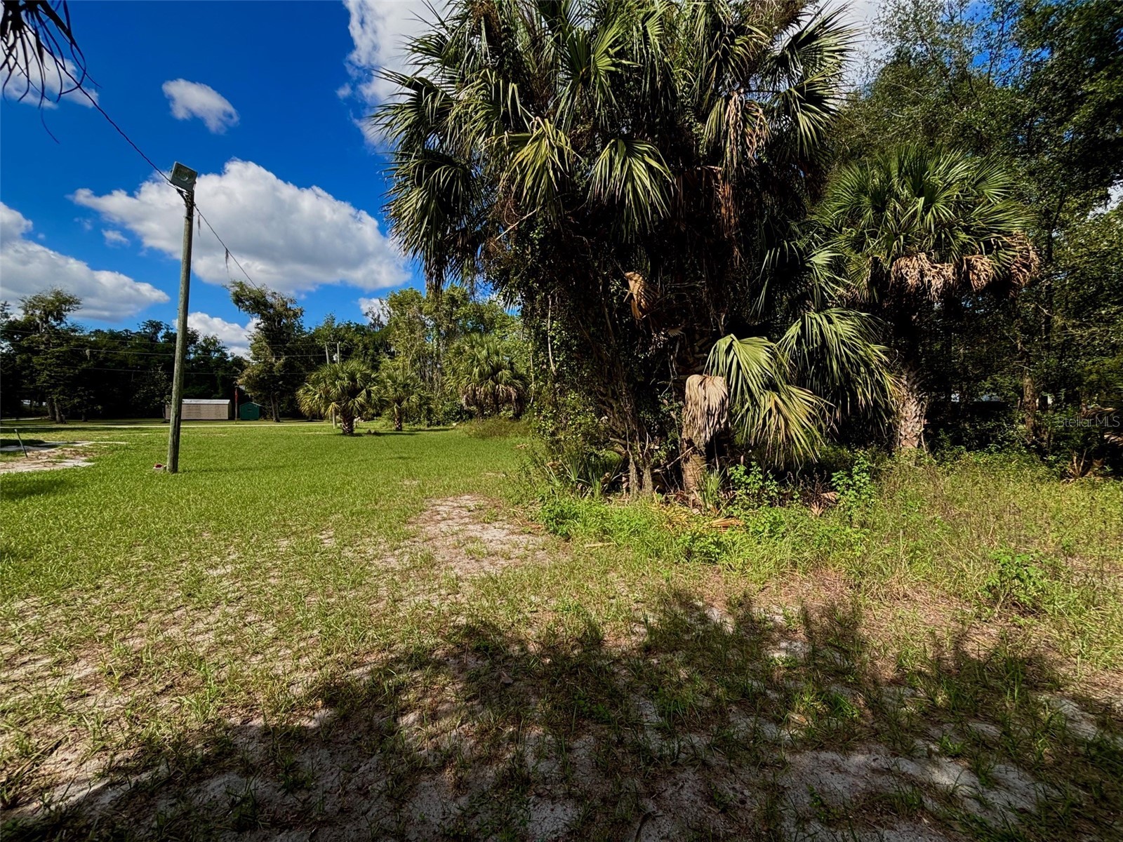 404 Grove Street Melrose FL 32666 P4936491 image10