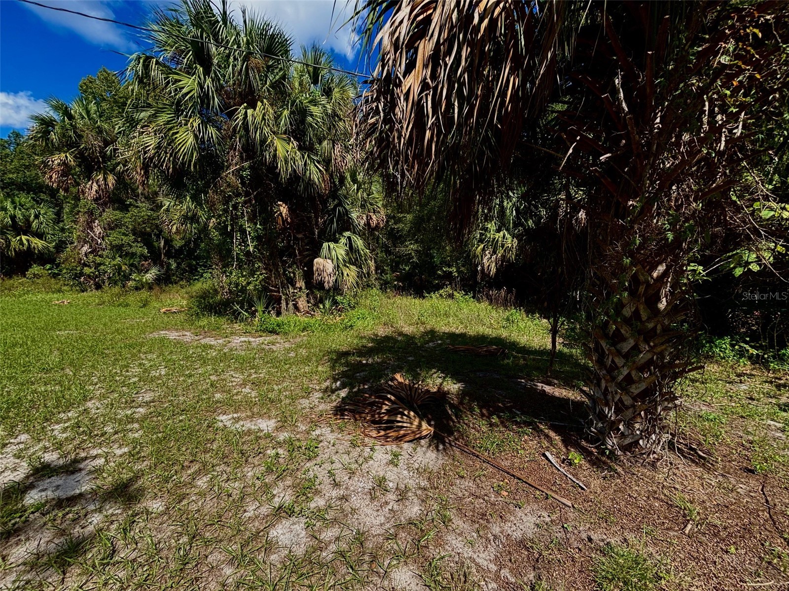 404 Grove Street Melrose FL 32666 P4936491 image14