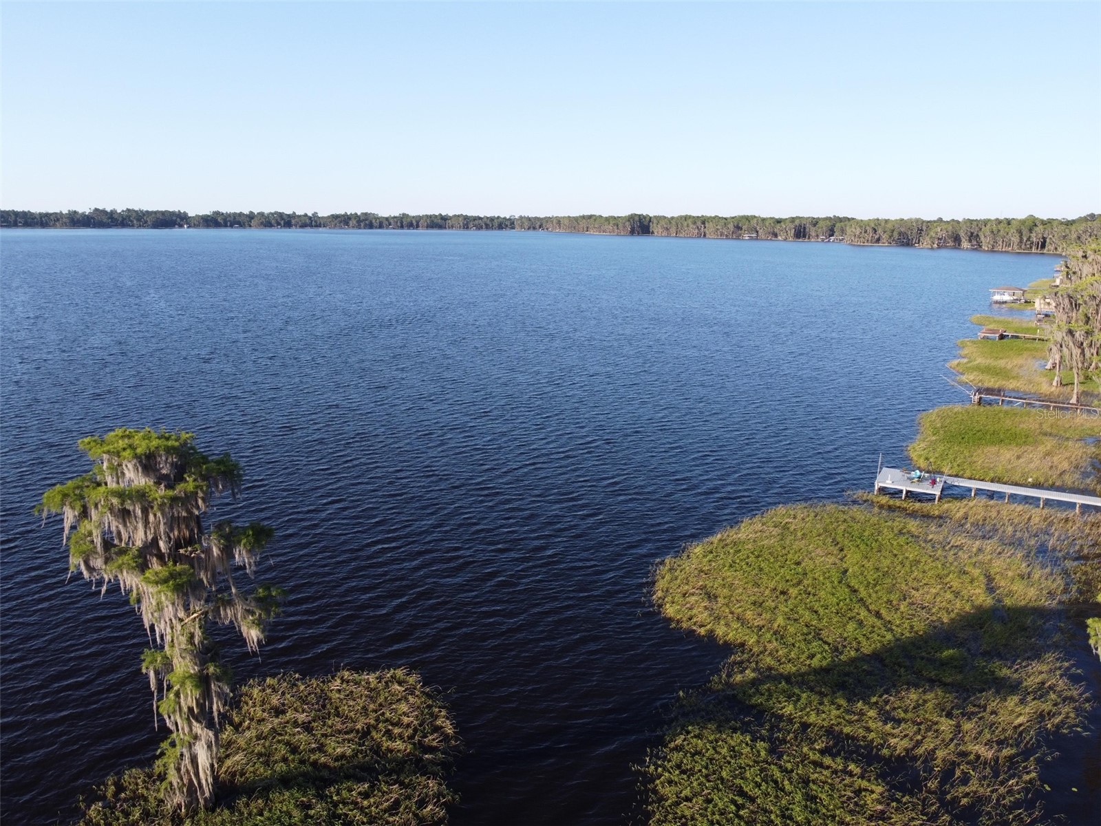 404 Grove Street Melrose FL 32666 P4936491 image45