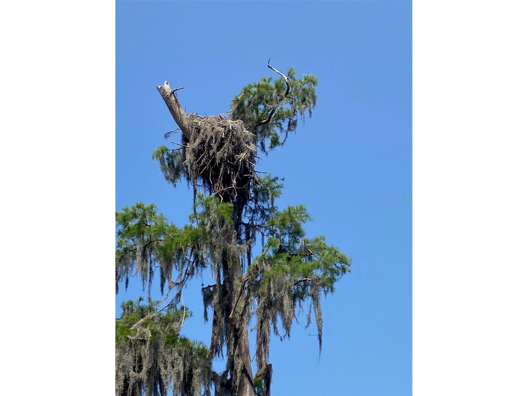 404 Grove Street Melrose FL 32666 P4936491 image48