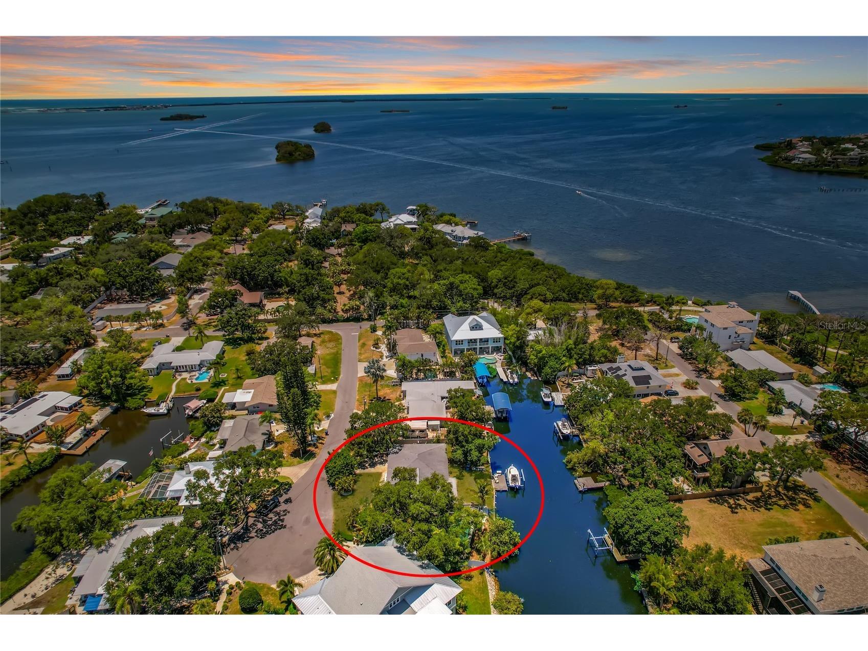 404 Laurel Lane Palm Harbor FL 34683 - THE GULF TB8525513 image1