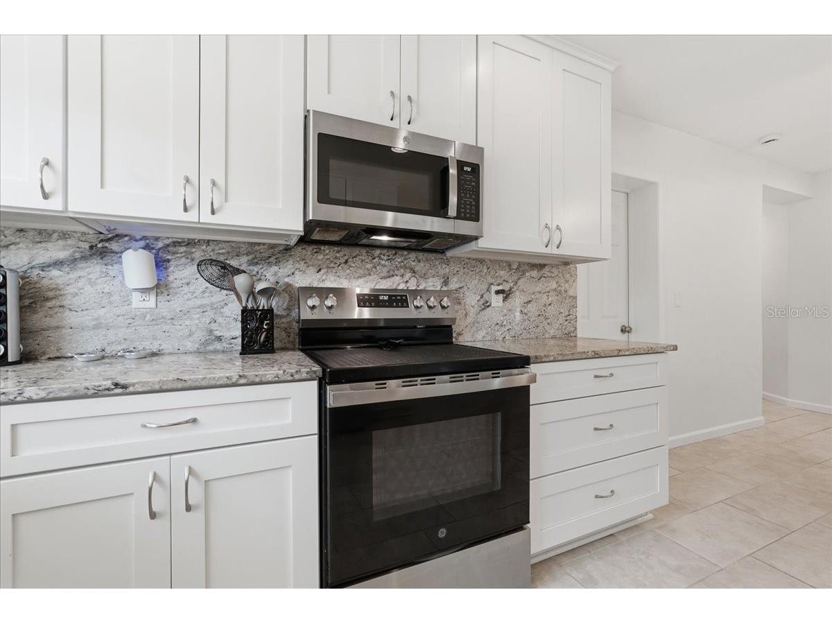 404 Laurel Lane Palm Harbor FL 34683 - THE GULF TB8525513 image25