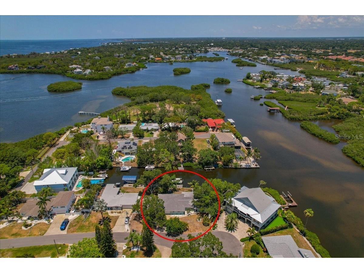 404 Laurel Lane Palm Harbor FL 34683 - THE GULF TB8525513 image50