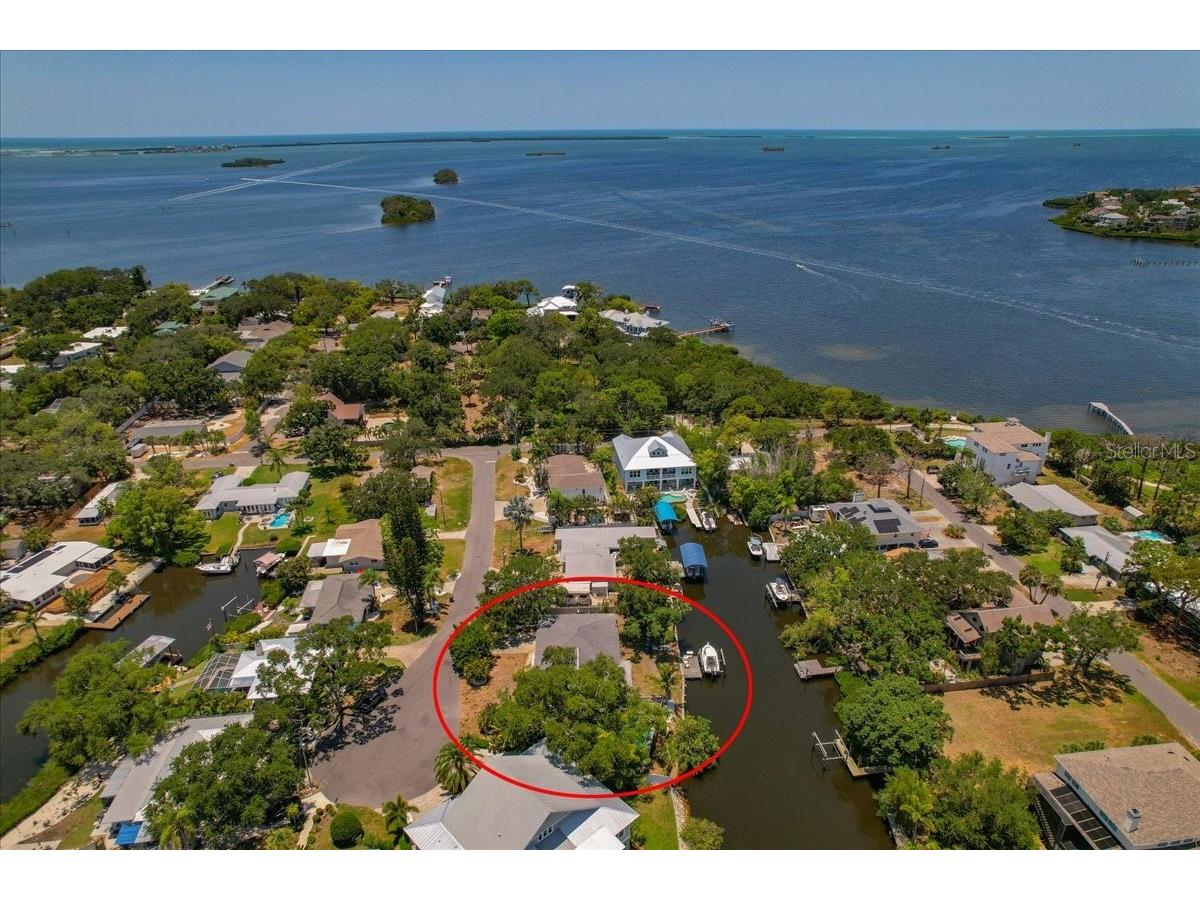 404 Laurel Lane Palm Harbor FL 34683 - THE GULF TB8525513 image51