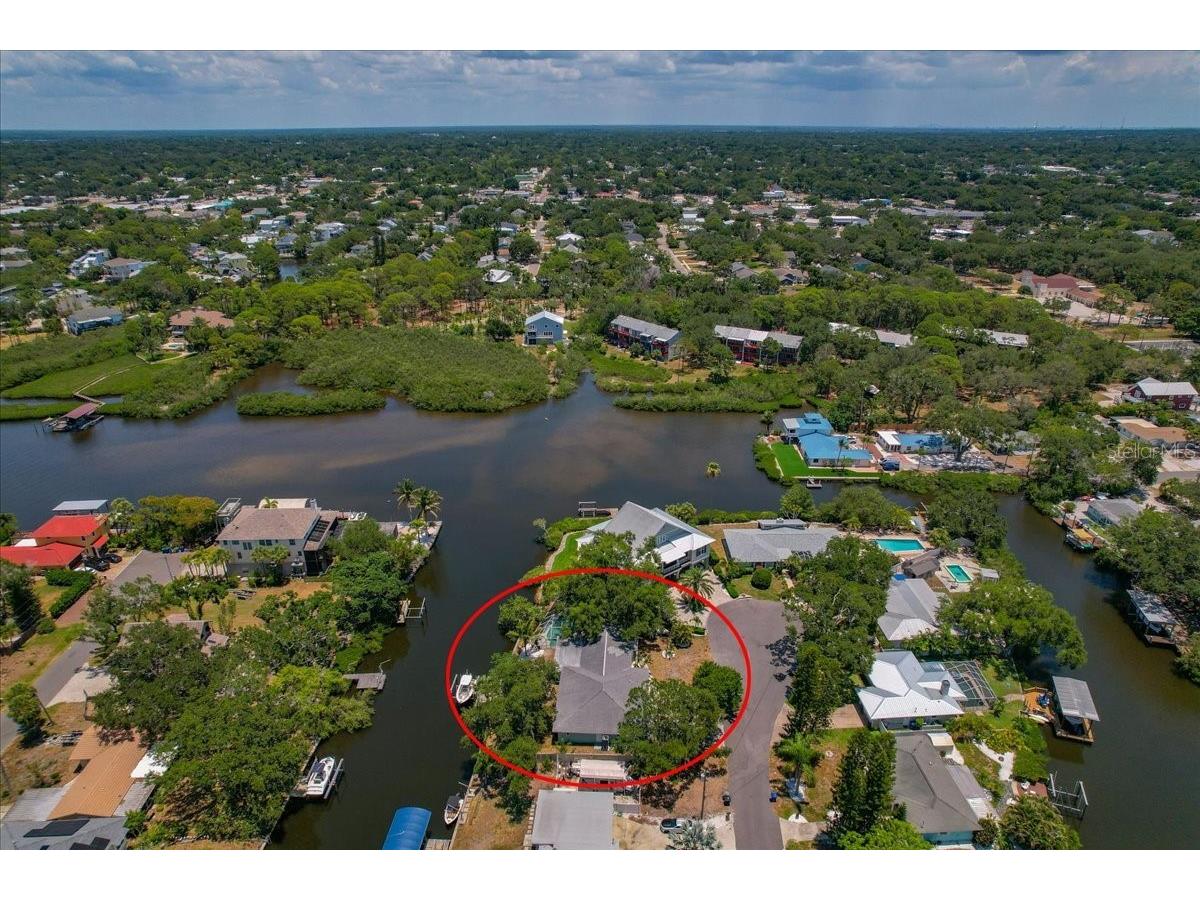 404 Laurel Lane Palm Harbor FL 34683 - THE GULF TB8525513 image58