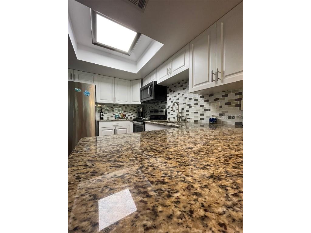 404 Lennox Road W #404 Palm Harbor FL 34683 TB8380268 image11