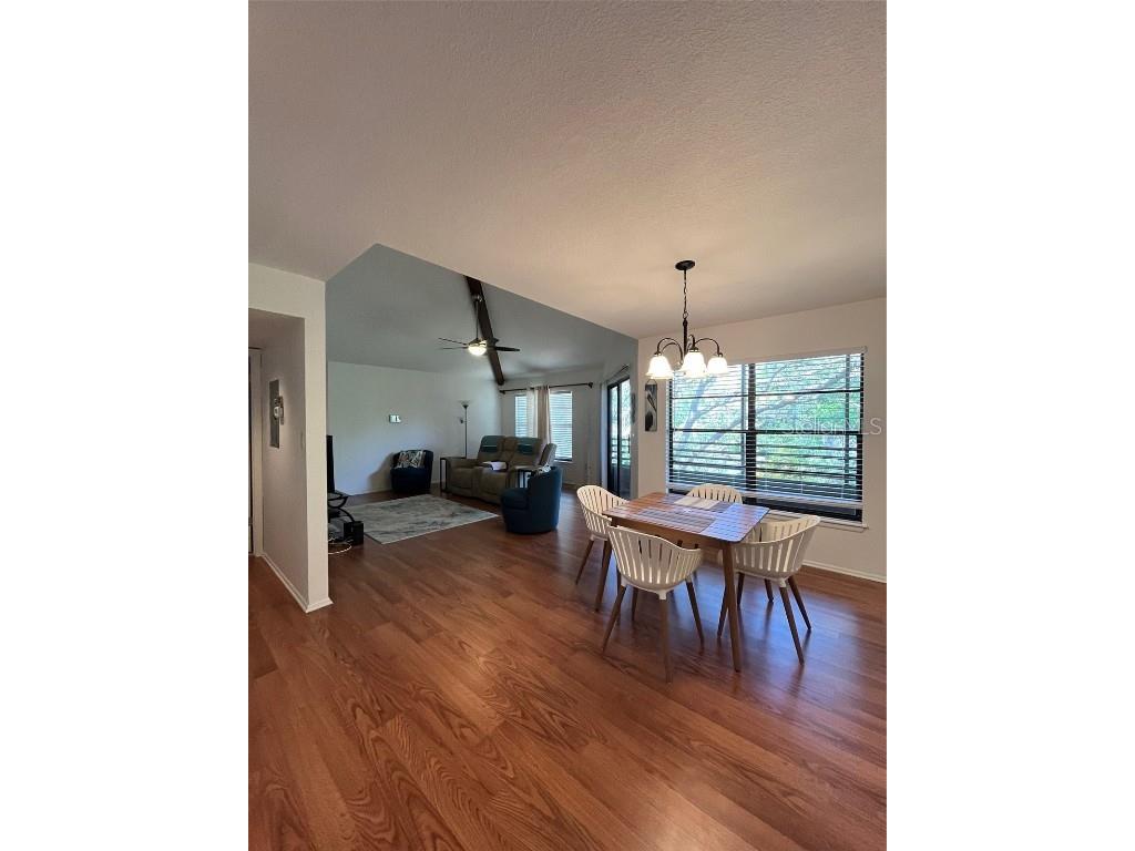 404 Lennox Road W #404 Palm Harbor FL 34683 TB8380268 image17