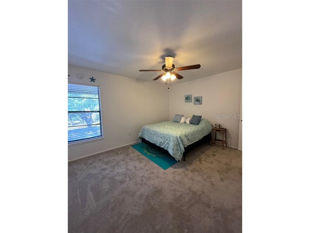 404 Lennox Road W #404 Palm Harbor FL 34683 TB8380268 image23