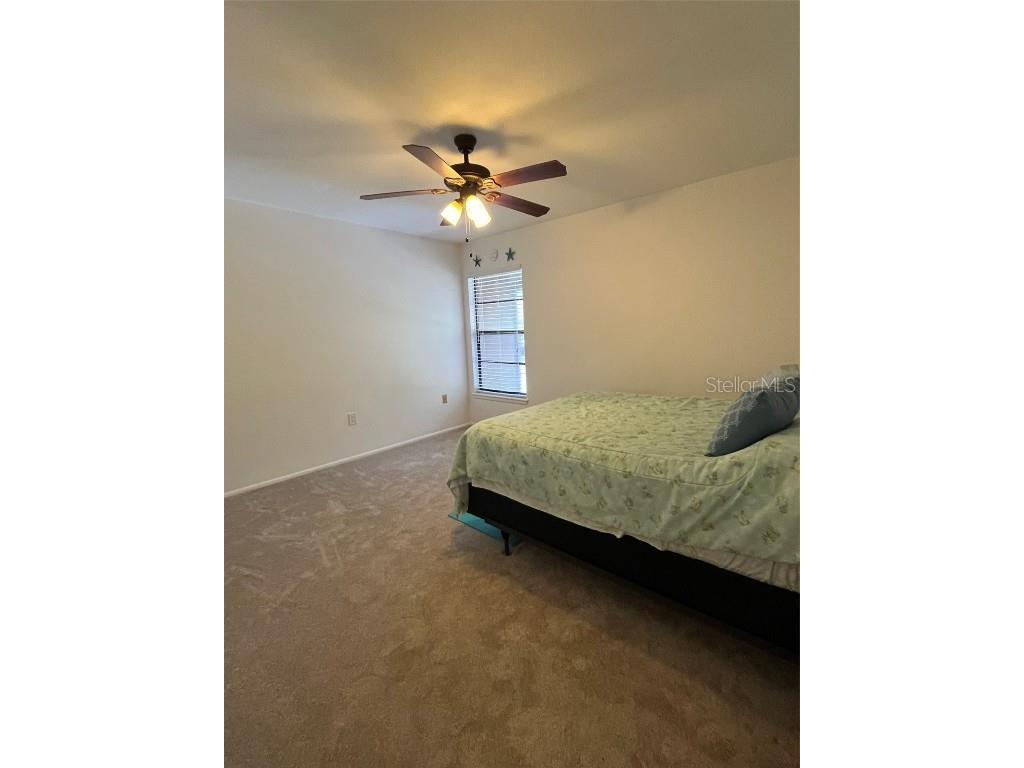 404 Lennox Road W #404 Palm Harbor FL 34683 TB8380268 image24