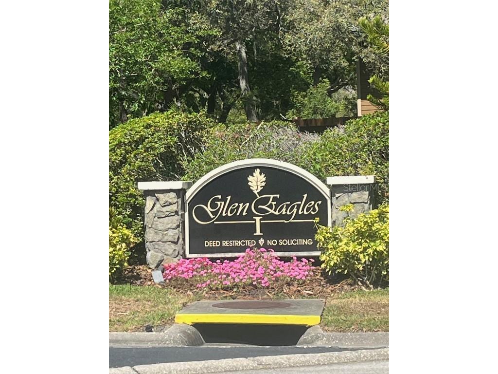 404 Lennox Road W #404 Palm Harbor FL 34683 TB8380268 image28