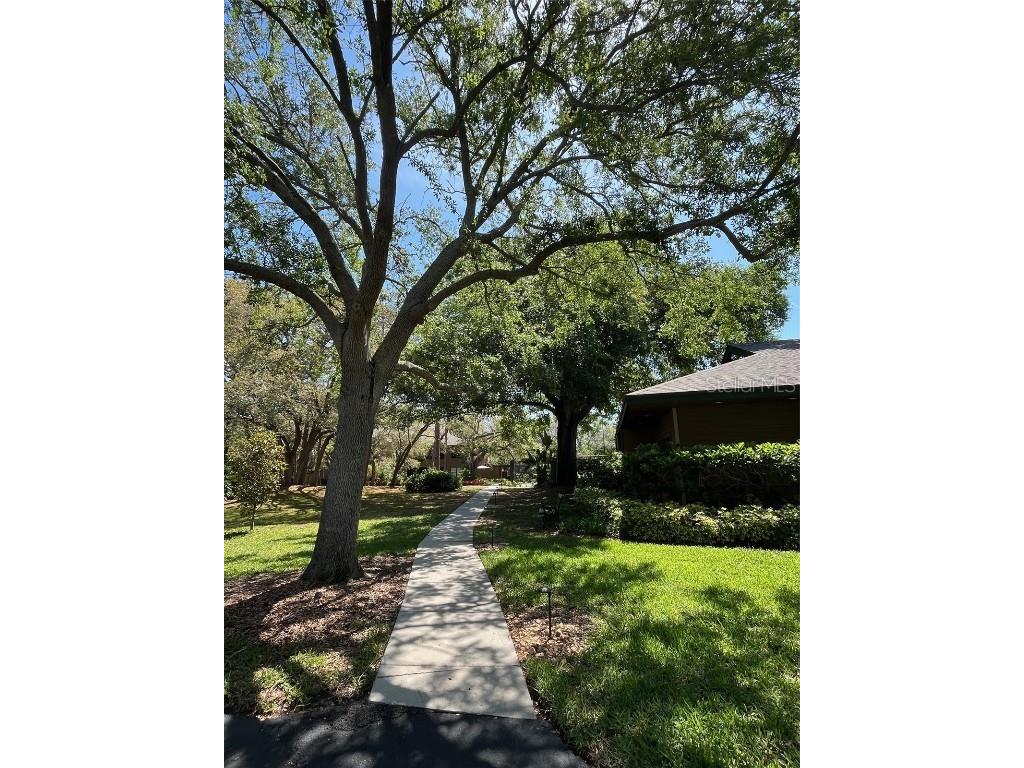 404 Lennox Road W #404 Palm Harbor FL 34683 TB8380268 image29