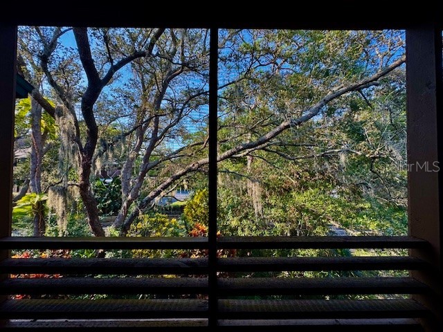 404 Lennox Road W #404 Palm Harbor FL 34683 TB8380268 image3