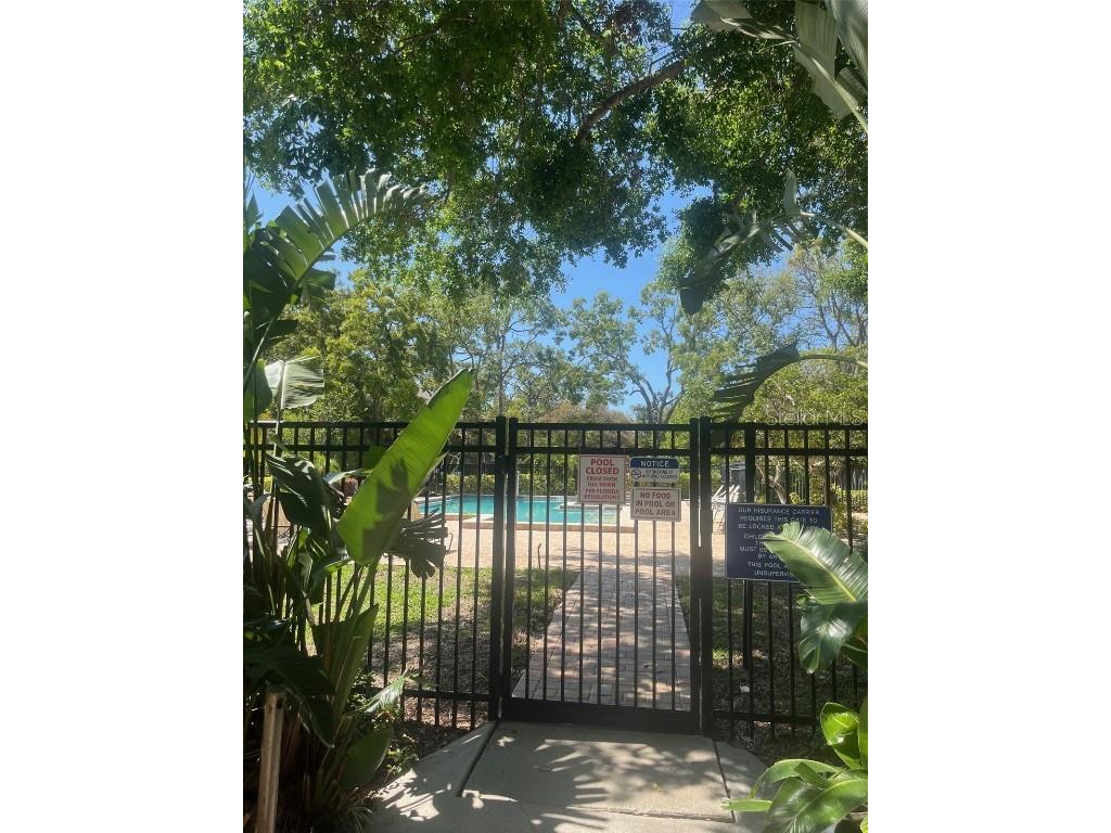 404 Lennox Road W #404 Palm Harbor FL 34683 TB8380268 image33