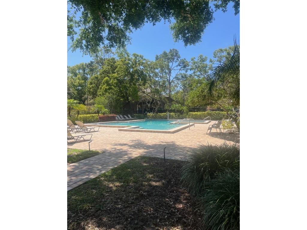 404 Lennox Road W #404 Palm Harbor FL 34683 TB8380268 image34