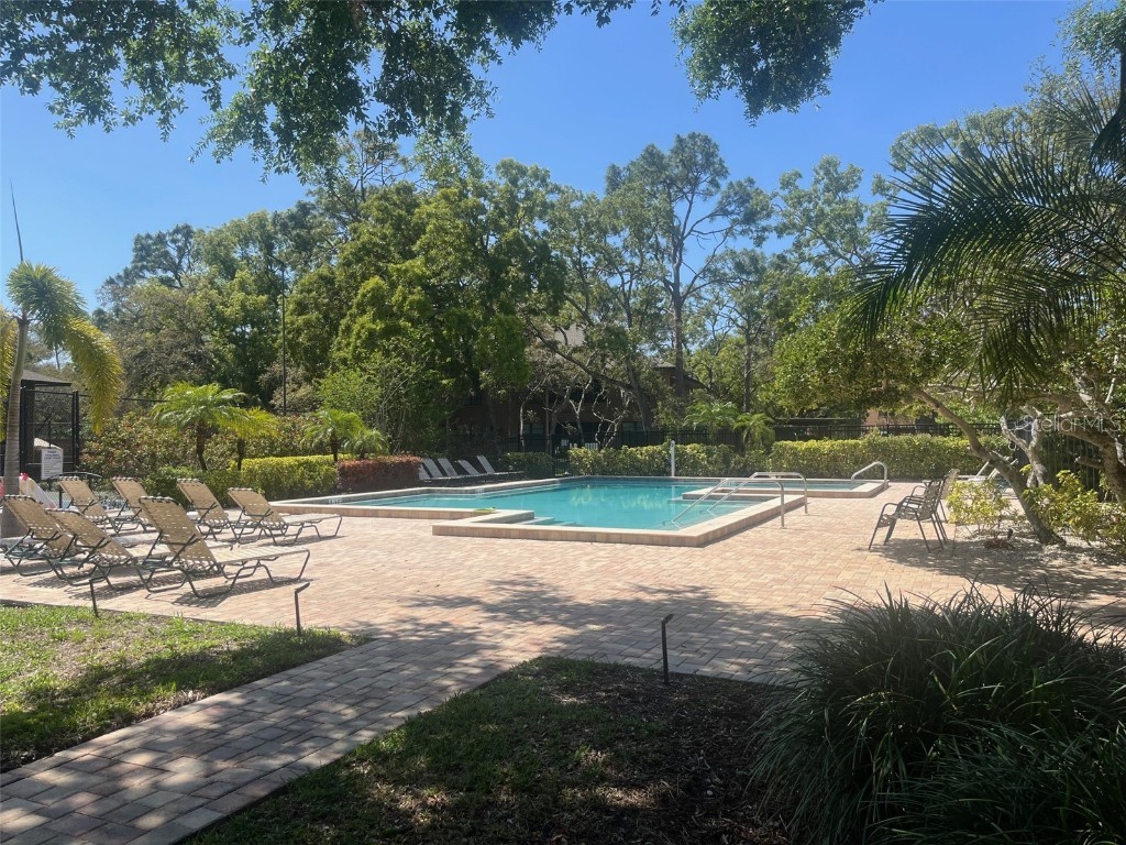 404 Lennox Road W #404 Palm Harbor FL 34683 TB8380268 image35