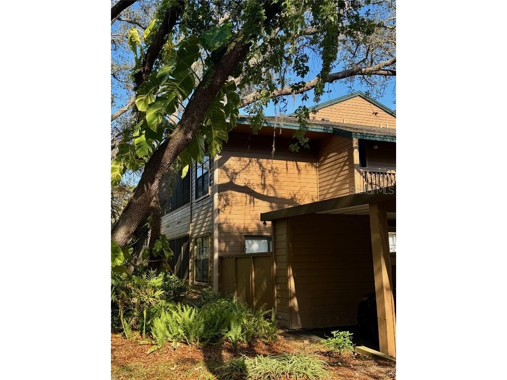 404 Lennox Road W #404 Palm Harbor FL 34683 TB8380268 image37