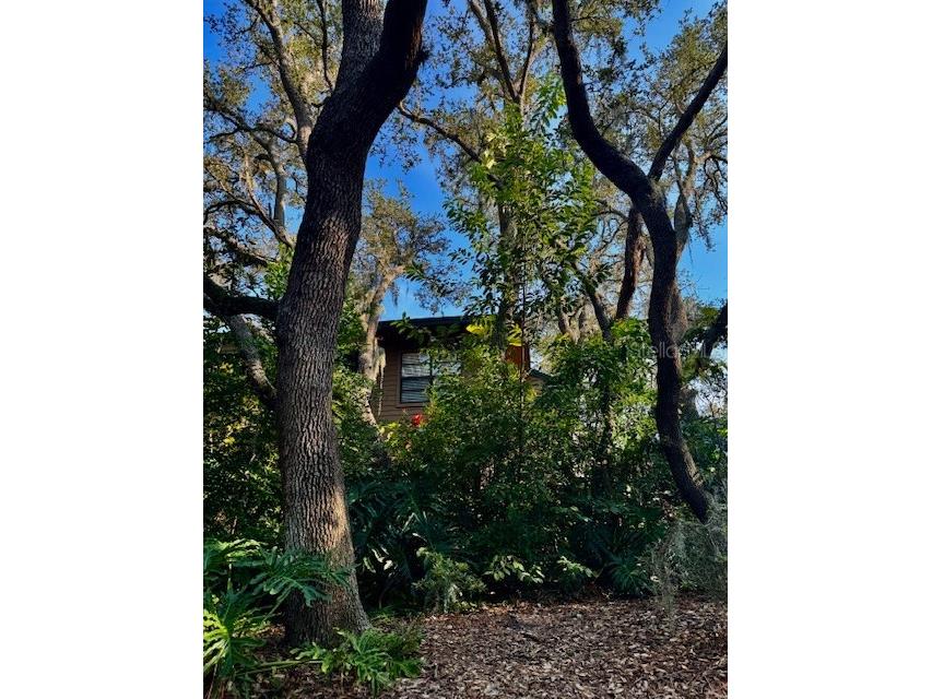 404 Lennox Road W #404 Palm Harbor FL 34683 TB8380268 image39