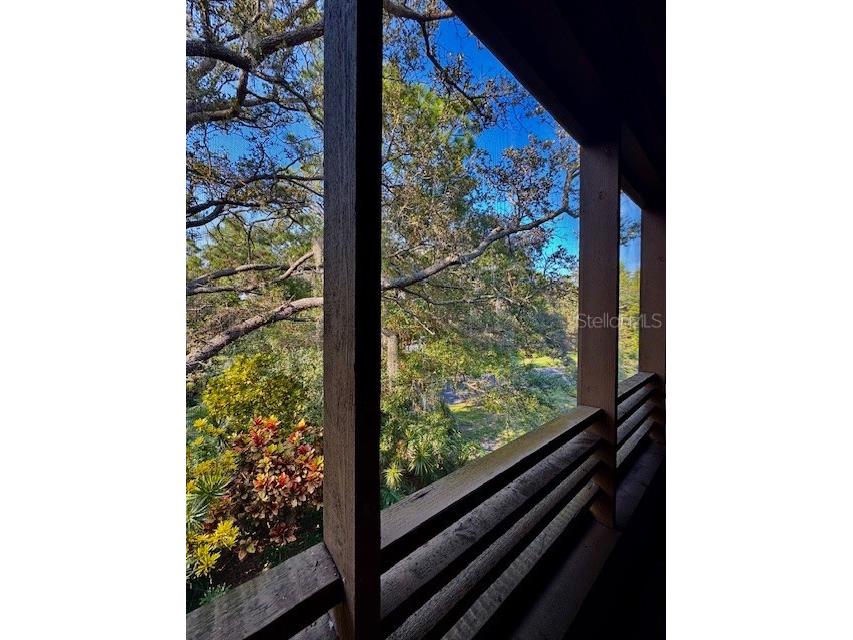 404 Lennox Road W #404 Palm Harbor FL 34683 TB8380268 image4