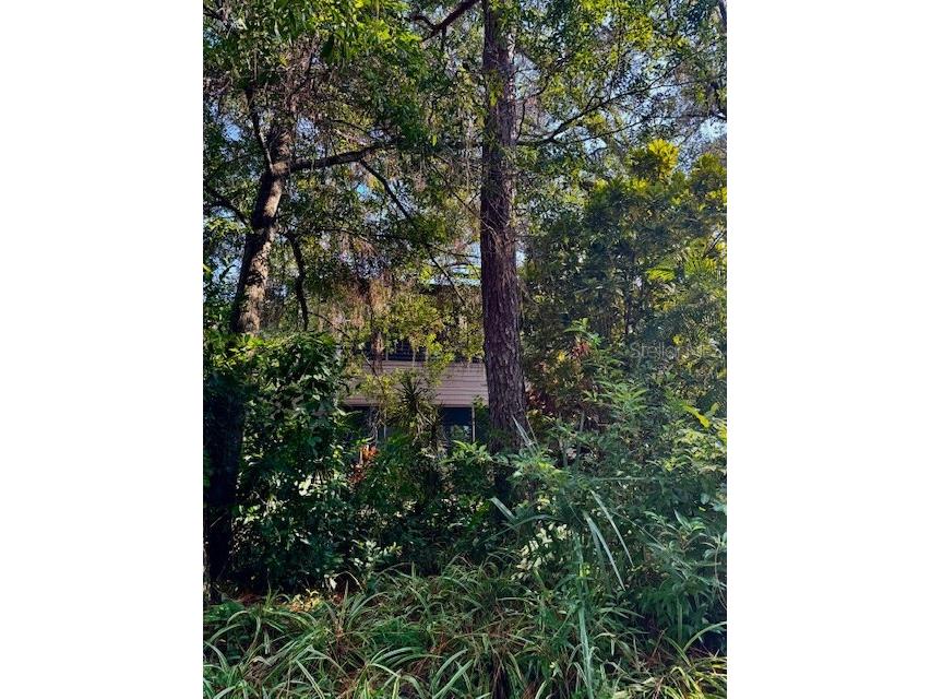 404 Lennox Road W #404 Palm Harbor FL 34683 TB8380268 image41