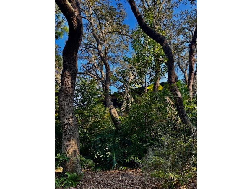 404 Lennox Road W #404 Palm Harbor FL 34683 TB8380268 image43